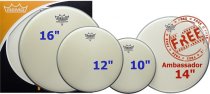 Ambassador 4-pc Tom Pack 10″/12″/14″/16″ - Coated