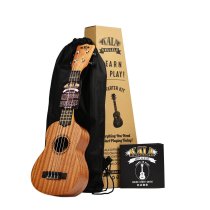 Learn To Play The Ukulele Starter Kit