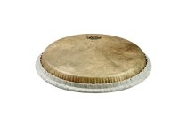 Conga Drum head Tucked 12.5