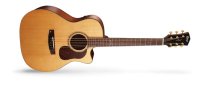 Gold Series Grand Auditorium Guitar With Case, Natural