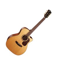 Gold Series Grand Auditorium Guitar With Case, Natural