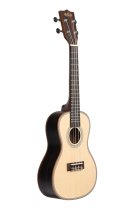 Solid Spruce Top Striped Ebony Concert Ukulele