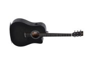 SE Series Acoustic Guitar