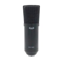 Side Address Studio Condenser Mic