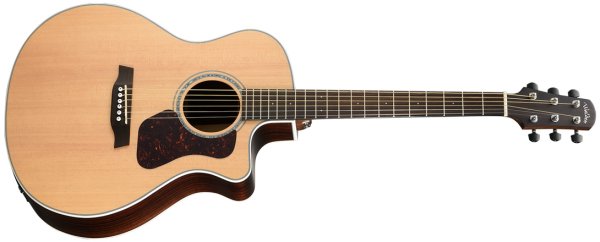 Natura 800 - Grand Auditorium body- Solid Sitka Spruce top -Cutaway