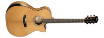 Gold Edge Auditorium Acoustic Guitar With Case, Natural Glossy