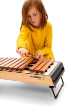 16 Bar Alto Xylophone Pao Rosa