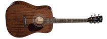 Earth Series Acoustic Guitar, Open Pore