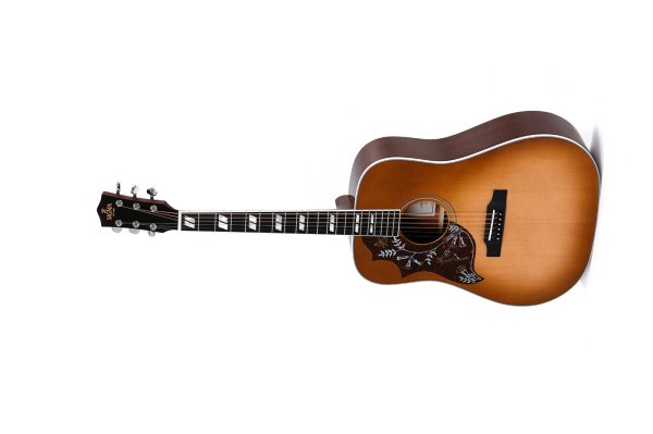 Dreadnought Left-Handed Acoustic Guitar With Softshell Case, Polished Gloss With Aging Toner