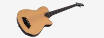 Mahogany Body 4-string Fretless Acoustic/Electric Bass, Natural