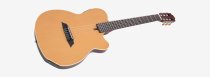 Larry Carlton G5N Acoustic/Electric Guitar, Natural Satin