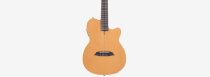 Larry Carlton G5N Acoustic/Electric Guitar, Natural Satin