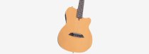 Larry Carlton G5N Acoustic/Electric Guitar, Natural Satin