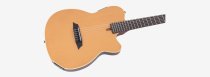 Larry Carlton G5N Acoustic/Electric Guitar, Natural Satin