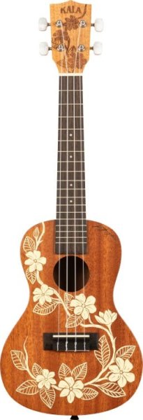 Gardenia Brighamii Concert Mahogany Ukulele With Bag