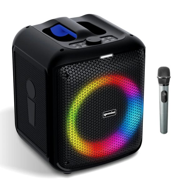 Portable Bluetooth Karaoke Speaker - 100W With LED Lights