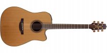 Pro Series 3 Acoustic/Electric Guitar