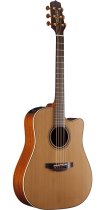 Pro Series 3 Acoustic/Electric Guitar