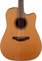 Pro Series 3 Acoustic/Electric Guitar