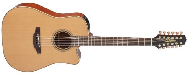 Pro Series 3 Acoustic/Electric 12-String Guitar