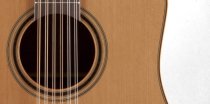 Pro Series 3 Acoustic/Electric 12-String Guitar