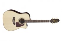 Pro Series Acoustic Electric Guitar