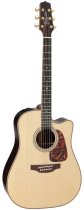 Dreadnought Acoustic