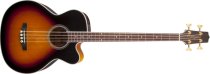 G Series Acoustic Electric Bass Guitar, Black Sunburst