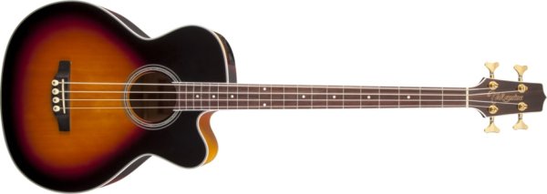 G Series Acoustic Electric Bass Guitar, Black Sunburst