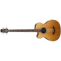 4-String Acoustic-Electric Bass Guitar Left-Handed Acoustic Bass, Natural