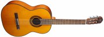 NAT Classical Acoustic Guitar, Natural