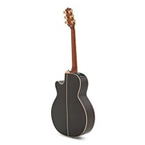 Nex Cutaway Acoustic-Electric Guitar, Sunburst