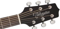 Nex Cutaway Acoustic-Electric Guitar, Black