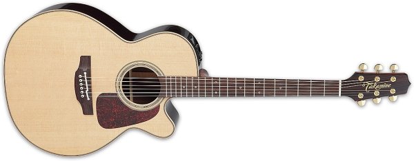 Pro Series Acoustic Electric - NEX Body with Cutaway Natural