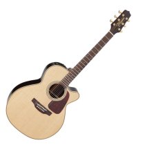 Pro Series Acoustic Electric - NEX Body with Cutaway Natural