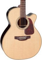 Pro Series Acoustic Electric - NEX Body with Cutaway Natural