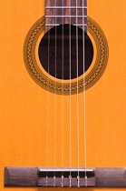 Classical Left-Handed Acoustic-Electric Guitar, Natural