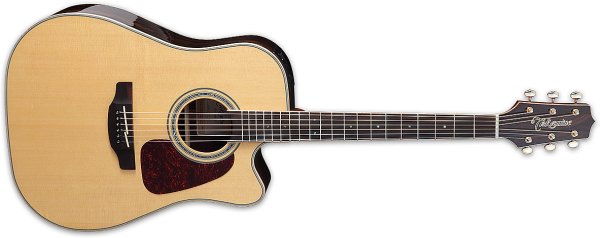 G-Series Dreadnought Acoustic/Electric Guitar