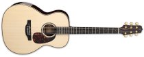 Acoustic Electric Guitar