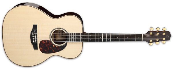 Acoustic Electric Guitar