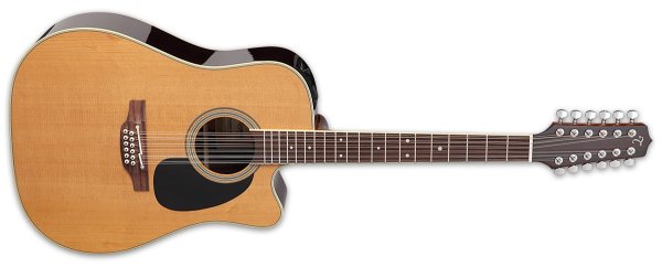 Thermal Top 12-String Pro Series Acoustic/Electric Guitar