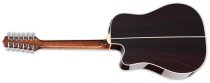 Thermal Top 12-String Pro Series Acoustic/Electric Guitar