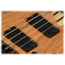 LTD Electric Bass Natural Satin