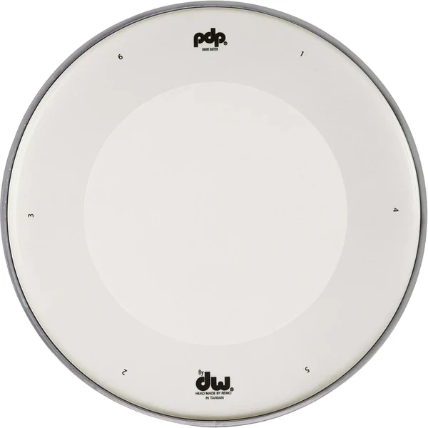 12" White Coated Snare Batter Dry Head