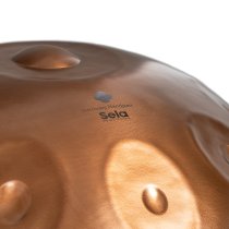 Harmony Handpan Phoenix Steel D Kurd 10 With Padded Bag