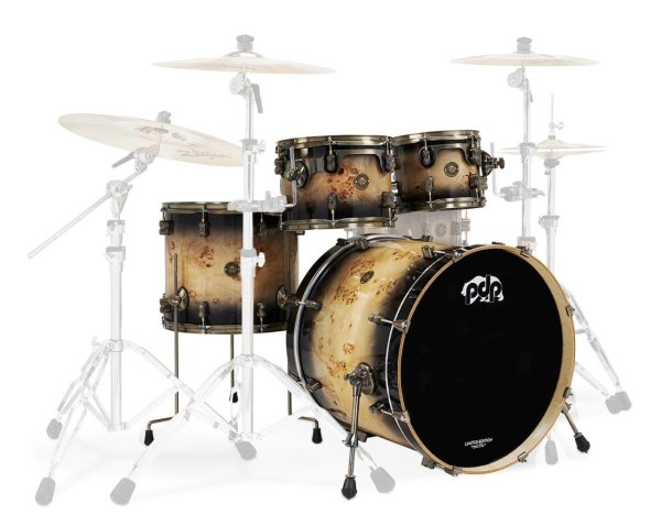 Limited Edition Concept Maple 4-Piece Drum Shell Pack, Mapa Burl