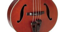 Legacy Series Acoustic-Electric Upright Bass, Red Stain