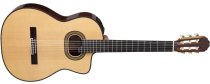 Pro Series Hirade Acoustic-Electric Classical Guitar with Case, Natural