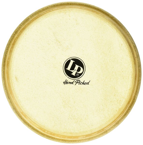 Bongo Head 8-5/8"