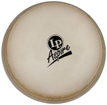 Aspire 10-Inch Rawhide Quinto Head